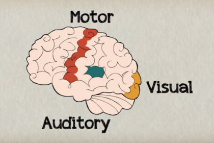 樂:全腦運動 full-body brain workout