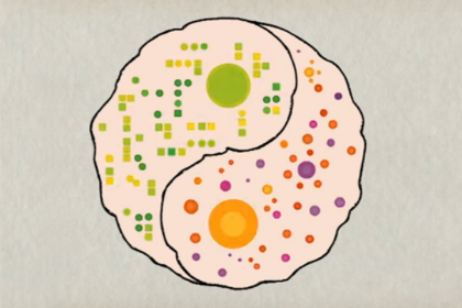 樂:全腦運動 full-body brain workout