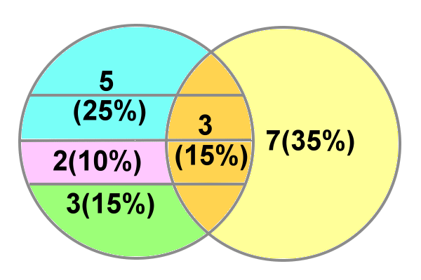 53237選民結構圖