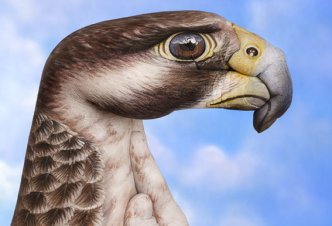 Guido Daniele 以手為立體塑材