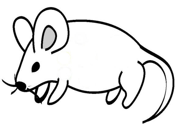 數位色彩設計實作