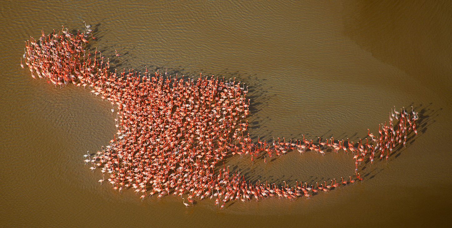 自然造境奇遇美