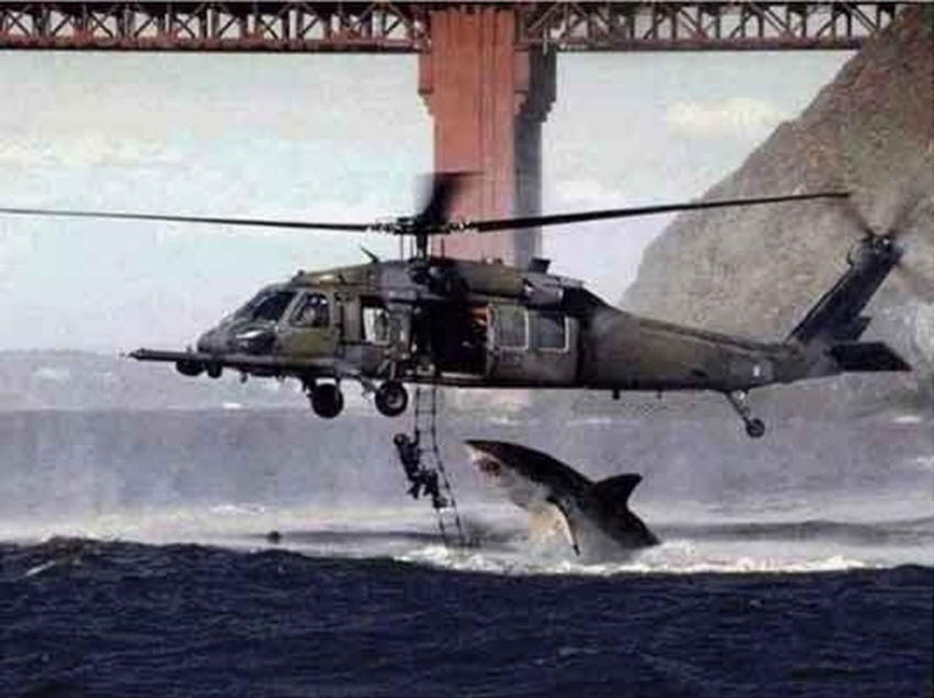黑鷹直昇機與大白鯊 Helicopter Shark