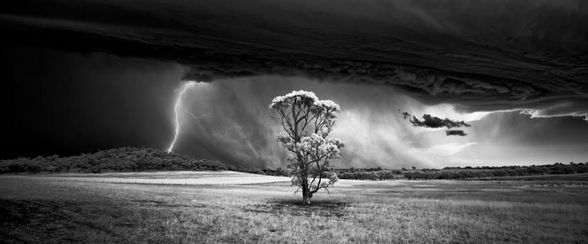 Monochrome Photographer of the Year 2015