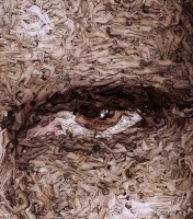 群眾裸體自然主義者 Spencer Tunick