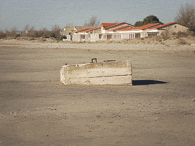 變焦鏡頭效果 Telephoto Zoom Lens Effect