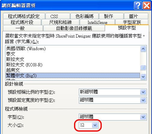 網頁編輯器選項