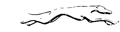 gif 黑白、灰階檔