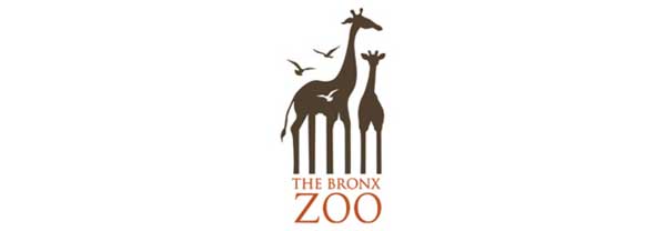 Logo Case Study