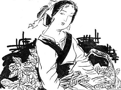 羅敷